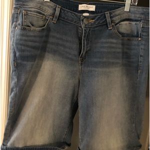 Lane Bryant 16 Denim Shorts